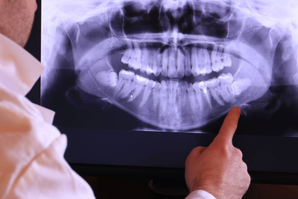 Best Emergency X-Rays and Diagnostics in Wapello, IA